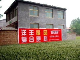 新邵如何让墙体广告展现最大化效果