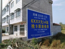 新邵墙体广告质量分析