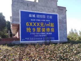 新邵品牌公司青睐的墙体广告