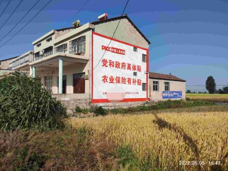 新邵墙体广告多少钱一平