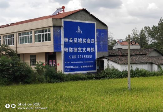 新邵决定墙体广告价格的因素有哪些？