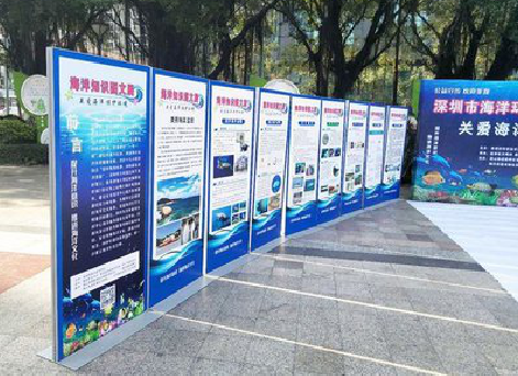 新邵KT板的种类和知识。